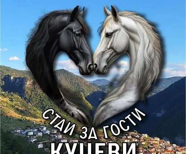 Pensjonat за гости куцеви