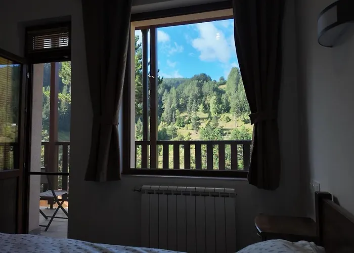 за гости куцеви *